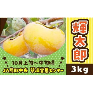 yӂ邳Ɣ[Łzys\zʌ 挧Y` PYi낤j 3kg | t[c ʕ  Hi lC  