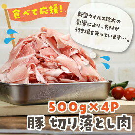 【ふるさと納税】国産豚 切り落とし 2kg（500g×4P） | 肉 お肉 にく 食品 鳥取県産 人気 おすすめ 送料無料 ギフト