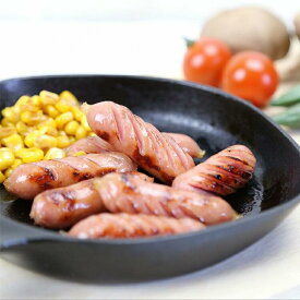 【ふるさと納税】あらびきポークウインナー 2kg（1kg×2P） | 肉 お肉 にく 食品 鳥取県産 人気 おすすめ 送料無料 ギフト
