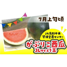 【ふるさと納税】数量限定 鳥取県産 がぶりこ西瓜 1玉（3L） | フルーツ 果物 くだもの 食品 人気 おすすめ 送料無料