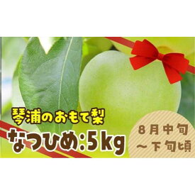 【ふるさと納税】数量限定 鳥取県産梨 なつひめ 5kg（12～14玉） | フルーツ 果物 くだもの 食品 人気 おすすめ 送料無料