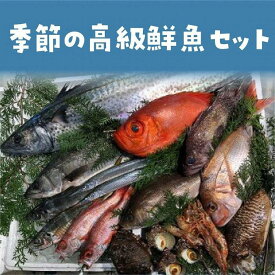 【ふるさと納税】【定期便】旬の高級鮮魚セット 年4回　※北海道、沖縄、一部離島への配送不可 | 魚 お魚 さかな 食品 人気 おすすめ 送料無料