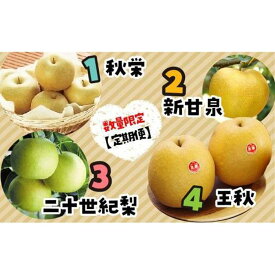 【ふるさと納税】数量限定【定期便】鳥取県産 梨の食べ比べ 4種類コース | フルーツ 果物 くだもの 食品 人気 おすすめ 送料無料