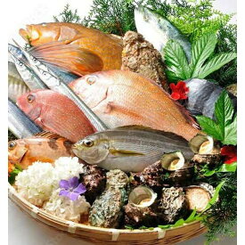 【ふるさと納税】山陰日本海高級魚セット 4人前 | 魚 お魚 さかな 食品 人気 おすすめ 送料無料