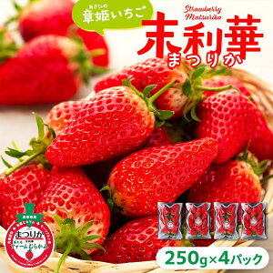 yӂ邳Ɣ[Łzys\z͕P(Ђ) 4P(250g×4) u(܂肩)v | t[c ʕ  Hi lC  