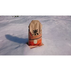 yӂ邳Ɣ[Łz RVqJ ߘa7NY 挧Y 3kg |    Hi lC  