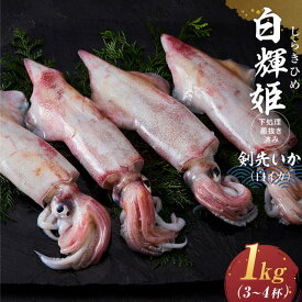 【ふるさと納税】白輝姫（しらきひめ）下処理 墨抜き済み 剣先いか（白イカ）1kg（3〜4杯） | 魚介類 水産 食品 人気 おすすめ 送料無料