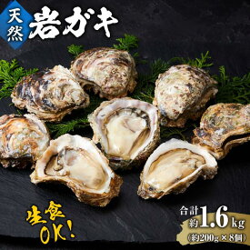 【ふるさと納税】【先行予約 2026年6月以降発送】天然 岩ガキ 約 200 g × 8 個　※北海道、沖縄、一部離島への配送不可 | カキ 魚介類 水産 食品 人気 おすすめ 送料無料
