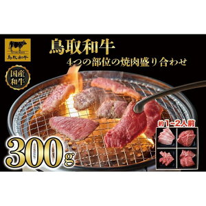 yӂ邳Ɣ[Łza4̕ʂ̏ē荇킹300g 1243 |   ɂ Hi 挧Y lC   Mtg