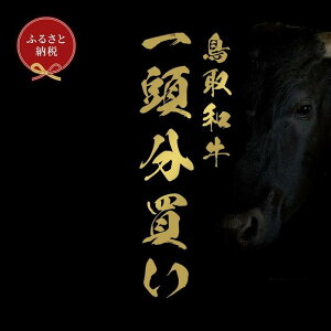 yӂ邳Ɣ[ŁzyցzaZuaꓪi12zj |   ɂ Hi 挧Y lC   Mtg