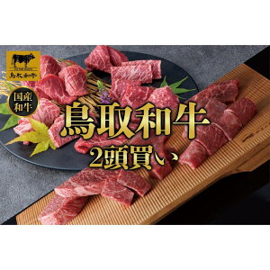 yӂ邳Ɣ[Łzyցza2 12 TB1 |   ɂ Hi 挧Y lC   Mtg