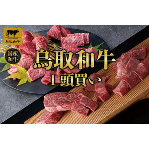 yӂ邳Ɣ[Łzyցza1 12 TB3 |   ɂ Hi 挧Y lC   Mtg
