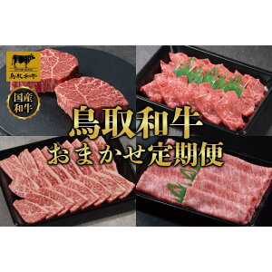 yӂ邳Ɣ[Łzyցza ܂  12 TB5 |   ɂ Hi 挧Y lC   Mtg