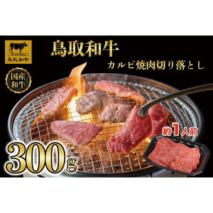 yӂ邳Ɣ[ŁzaJrē@؂藎Ƃ 300g 1297 |   ɂ Hi 挧Y lC   Mtg