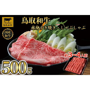 yӂ邳Ɣ[Łzy8ցzaԐgĂԂԗp500g1216 |   ɂ Hi 挧Y lC   Mtg