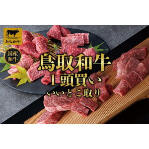 yӂ邳Ɣ[Łza1 Ƃ 12 TB4 |   ɂ Hi 挧Y lC   Mtg