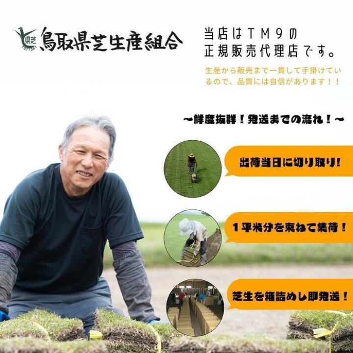 楽天市場】【ふるさと納税】＼選べる数量／芝生(省管理型コウライ芝 