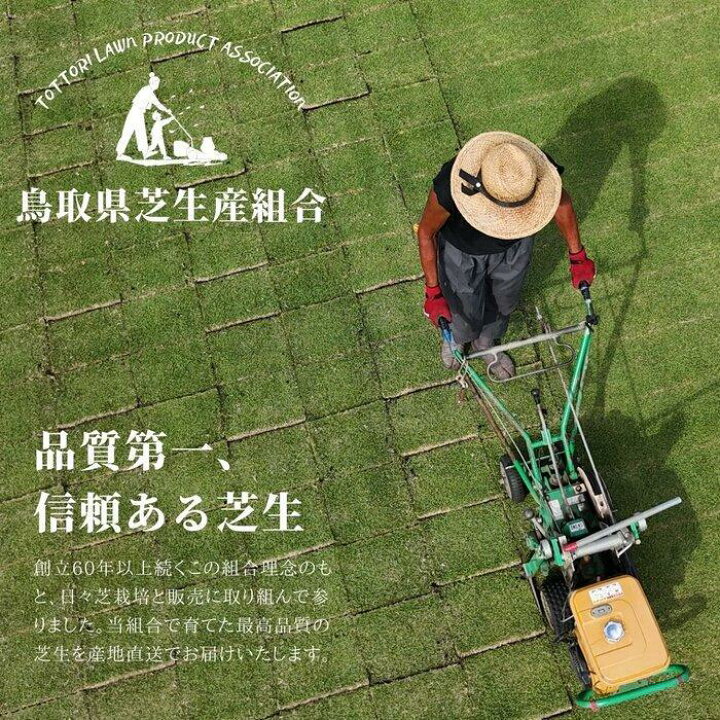 楽天市場】【ふるさと納税】＼選べる数量／芝生(省管理型コウライ芝 