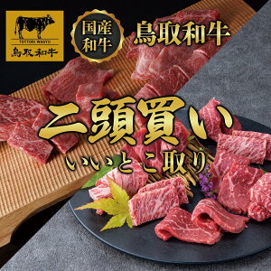 yӂ邳Ɣ[Łzyցza2 Ƃ 12 TB2 |   ɂ Hi 挧Y lC   Mtg