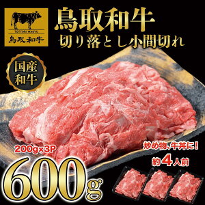 yӂ邳Ɣ[Łza ؂藎Ƃ Ԑ؂ 600gi200g×3Pj KT010-007 |   ɂ Hi 挧Y lC   Mtg