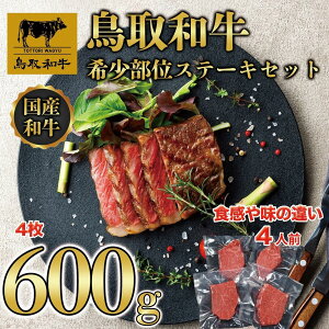 yӂ邳Ɣ[Łza 󏭕 Xe[LZbg 4 600g KT030-001 |   ɂ Hi 挧Y lC   Mtg