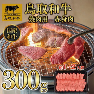 yӂ邳Ɣ[Łza ēp ԐgiAEfj v300g KT010-013 |   ɂ Hi 挧Y lC   Mtg