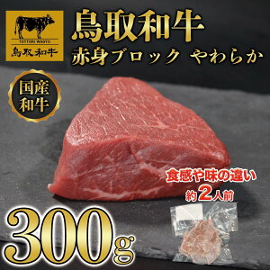 yӂ邳Ɣ[Łza Ԑg ubN 炩 300g KT010-023 |   ɂ Hi 挧Y lC   Mtg