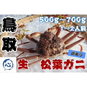 yӂ邳Ɣ[Łzys\z挧Y@@tKji500g`700gji1`2lOjA |  Y Hi lC  
