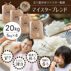 yӂ邳Ɣ[Łz܃că}CX^[ I 20kgi5kg×4ji挧YE7NYj |    Hi lC  