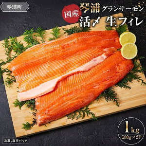 yӂ邳Ɣ[Łz_Y T[^ ՉY OT[ 1kg ( 500g × 2p ) | {B tB {BT[ T[  CN  ӂ邳Ɣ[  TP NxQ lC   O