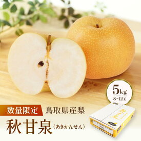 【ふるさと納税】梨 秋甘泉 先行予約 数量限定 鳥取県産 梨 5kg（8～12玉） | 梨 なし 鳥取県 梨 5kg おすすめ おいしい 果物 くだもの フルーツ