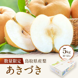 yӂ邳Ɣ[Łzʌ 挧Y Â 5kgi10`12ʁj | t[c ʕ  Hi lC  