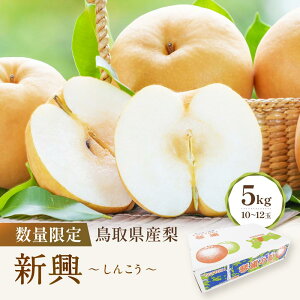 yӂ邳Ɣ[Łzys\zʌ 挧Y Vi񂱂j 5kgi10`12ʁj | t[c ʕ  Hi lC  
