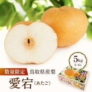 yӂ邳Ɣ[Łzys\zʌ 挧Y ij 5kgi5`6ʁj | t[c ʕ  Hi lC  