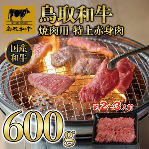 yӂ邳Ɣ[Łza ēp Ԑg 600g KT020-003 |   ɂ Hi 挧Y lC   Mtg
