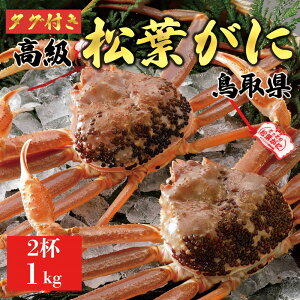 【ふるさと納税】【2025年11月発送】特撰 松葉がに(なま)【ブランドタグ付き】1kg超の大きいサイズ 食べ応えあり 特大2杯