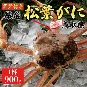 【ふるさと納税】【2025年11月発送】特撰 松葉がに(なま)【ブランドタグ付き】900g超の大きいサイズ 食べ応えあり 特大1杯