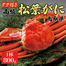 【ふるさと納税】【2026年11月発送】特撰 松葉がに（茹）【ブランドタグ付き】800g超の大きいサイズ 食べ応えあり 特大1杯