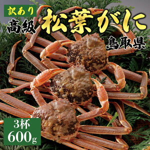 【ふるさと納税】【2025年11月発送】特撰 松葉がに(なま)【訳あり】600g超のサイズ 3杯