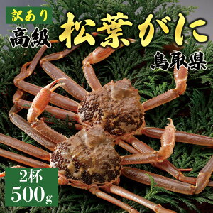 【ふるさと納税】【2025年11月発送】特撰 松葉がに(なま)【訳あり】500g超のサイズ 2杯