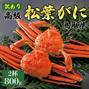 yӂ邳Ɣ[Łzy2025N11z tɁi䥁jy󂠂z800g̑傫TCY H׉ 2t