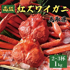 【ふるさと納税】鳥取産 特撰 紅ズワイガニ【釜茹で】1kg 2〜3杯