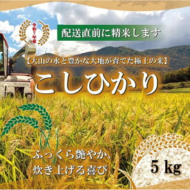 【ふるさと納税】令和7年産　山崎農園こしひかり5kg | コシヒカリ 米 お米 こめ コメ ごはん ご飯 白米