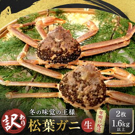 【ふるさと納税】【先行予約】【訳アリ】松葉ガニ（生）2枚（計1.6kg以上）【年明け配送】《ずわいがに　かに　カニ　蟹》 | 蟹 魚介類 水産 食品 人気 おすすめ 送料無料