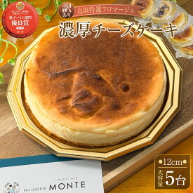 【ふるさと納税】【大容量 訳あり 鳥取特選フロマージュ】厳選素材　濃厚チーズケーキ12cm 5台《「食パラダイス鳥取県」優良賞受賞》（チーズケーキ　チーズ　鳥取県　琴浦町　大山乳業　スイーツ） | 菓子 おかし スイーツ デザート 食品 人気 おすすめ 送料無料
