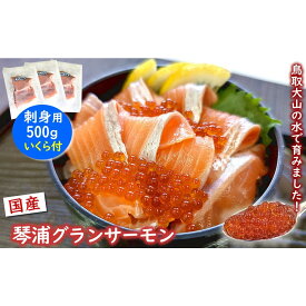 【ふるさと納税】薬剤未使用で安心　国産とっとり琴浦グランサーモン刺身用500g いくら付 訳あり 小分け個包装で便利