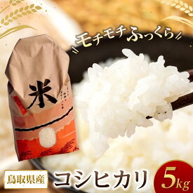 【ふるさと納税】米 コシヒカリ 令和8年産 鳥取県産 5kg | お米 こめ 白米 食品 人気 おすすめ 送料無料