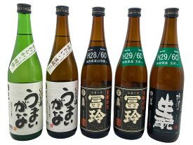 【ふるさと納税】日本酒の飲み比べセット【E】