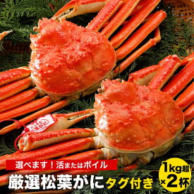 【ふるさと納税】【選べます！活またはボイル】《タグ付き》厳選松葉がに 特大2杯（1kg超×2杯）※着日指定不可※離島への配送不可※2024年11月上旬～2025年3月下旬頃に順次発送予定