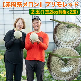 【ふるさと納税】【赤肉系メロン】プリモレッド×2玉（1玉2kg前後×2玉）※離島への配送不可　※2024年9月下旬～10月中旬頃に順次発送予定